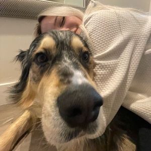 Meet your Posher, Munson!